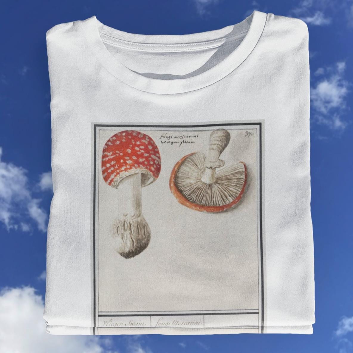 Vintage Mushroom T shirt / Old Mushroom T shirt / Retro Mushroom / Mushroom Drawing / Mushroom Painting