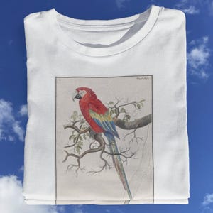 T-shirt Red Parrot / Vintage T-shirt papegaai / Retro T-shirt papegaai 100% premium katoen - uniseks