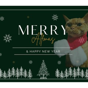 Alf | de Noël | du Nouvel An | de carte postale standard 4 x 6 »