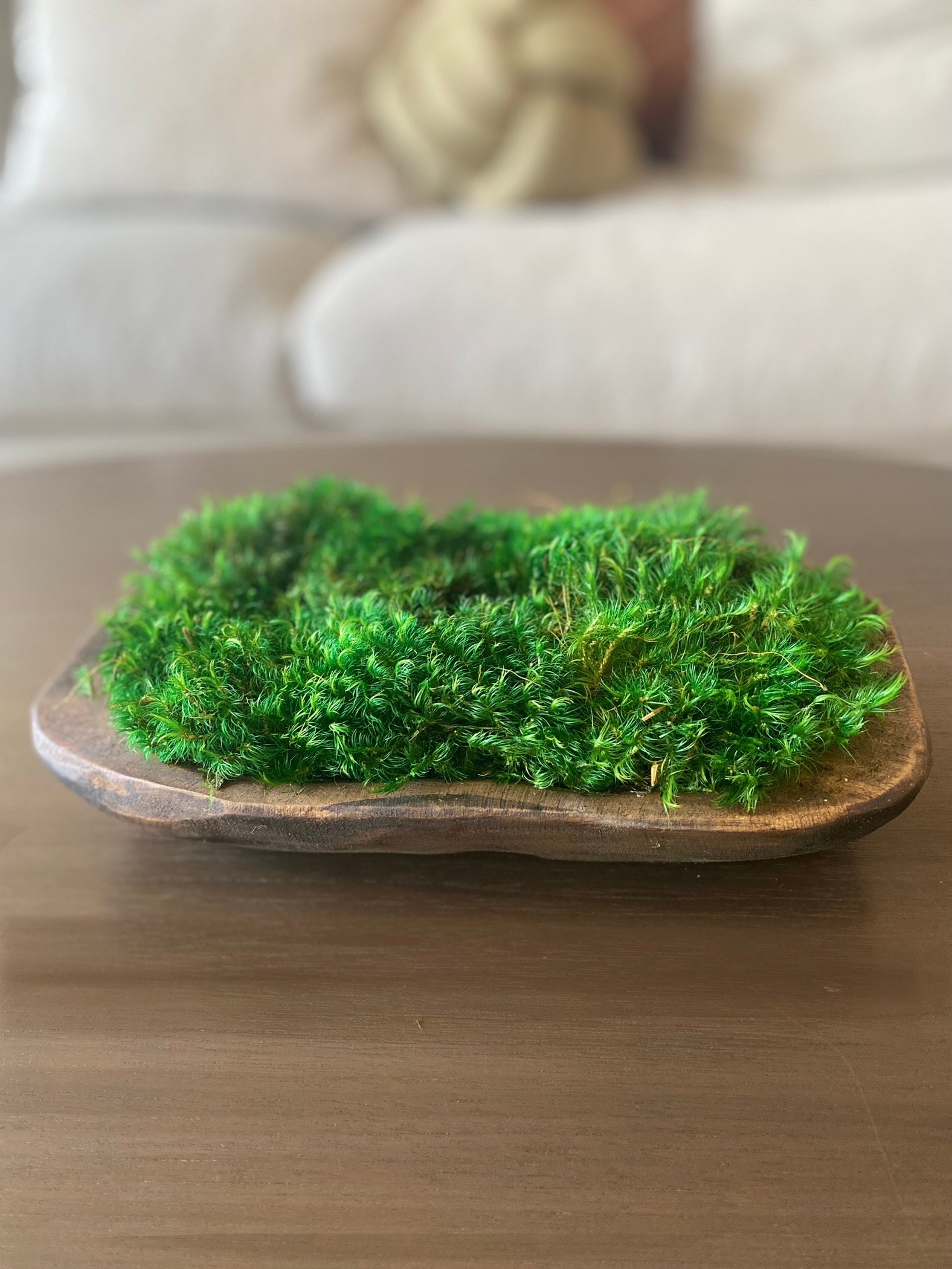 Mood Moss Arrangement in Round Bowl – Creative Displays and Designs inc