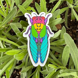 May include: A colorful sticker of a cicada with a pink head, green body, and blue wings. The sticker is on a green leafy background.