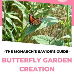 MONARCH  BUTTERFLIES 2 for less DUMMIES :pdf download