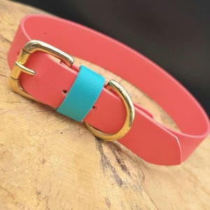 May include: Coral-colored dog collar with a gold-tone buckle and a turquoise accent. The collar is made of a smooth material and is shown on a wooden surface. A stylish accessory for pets.