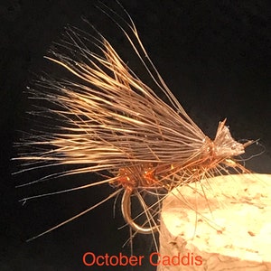 October Caddis