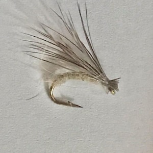 Caddis No Hackle