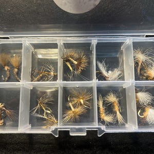 2026 Collaborative March Brown Fly Selection