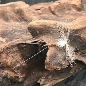 Mayfly spinners
