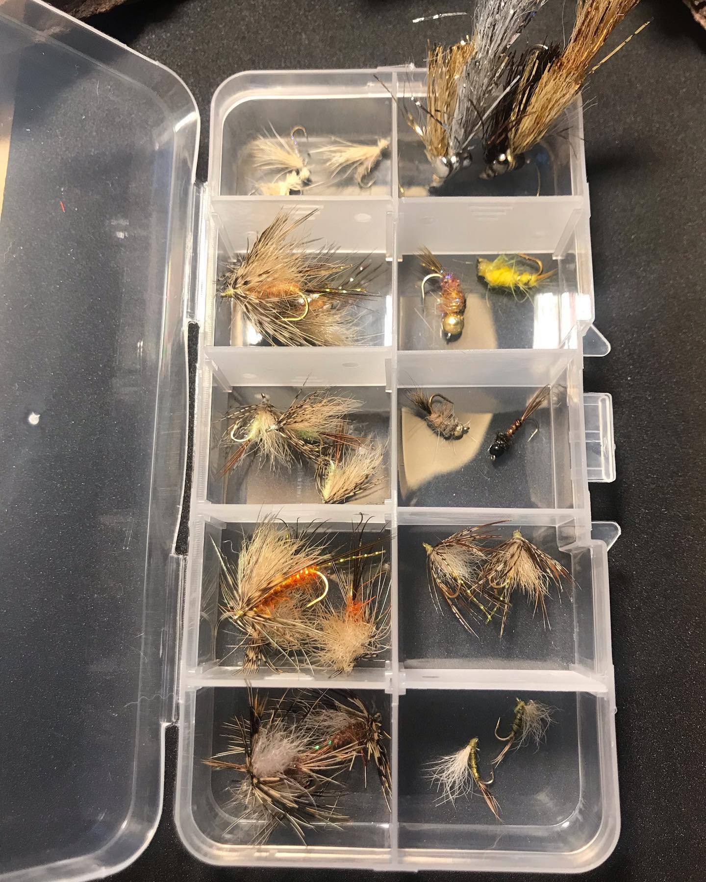 Dry Fly Assortment 