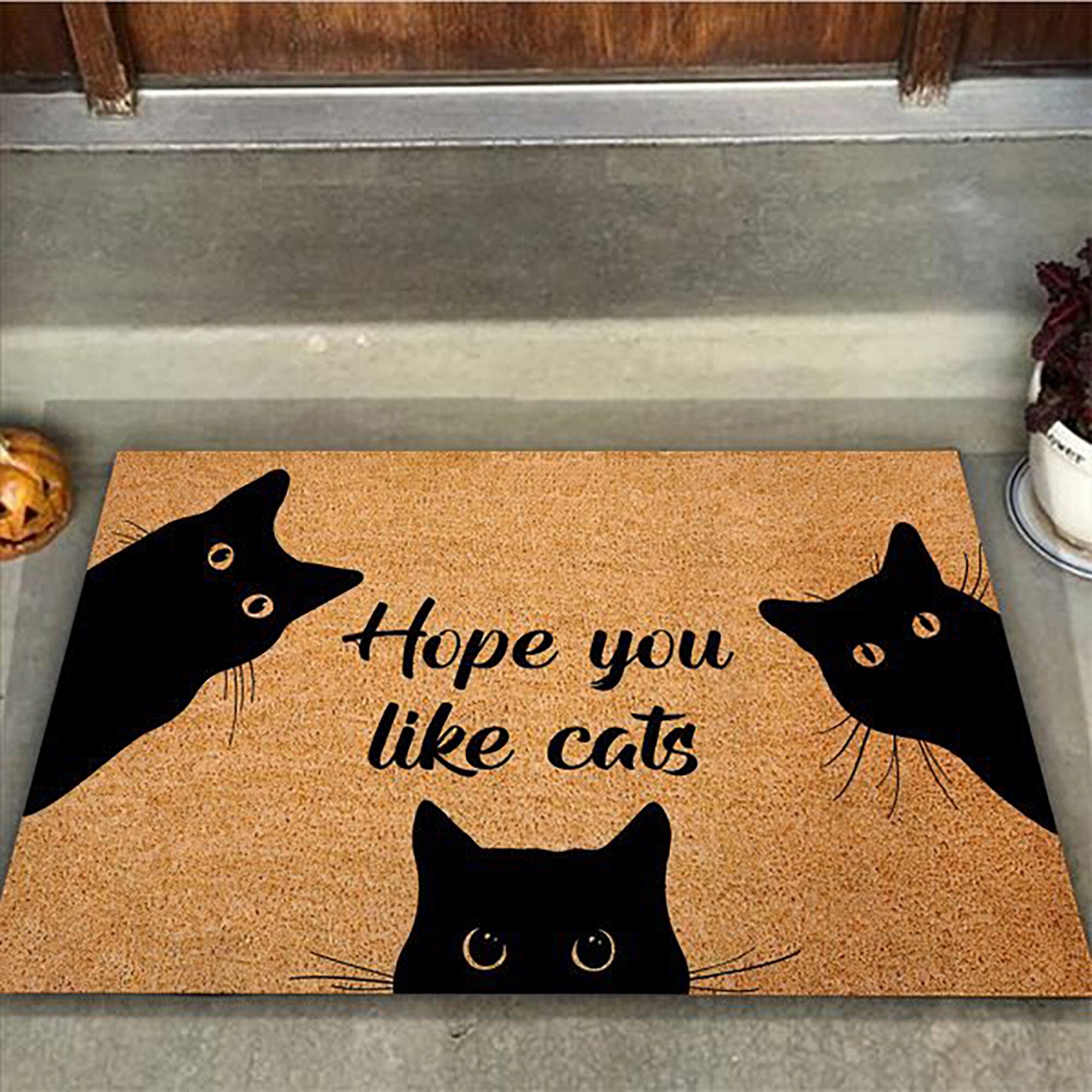 Hope You Like Cats Doormat Funny Cat Doormat Cat Etsy