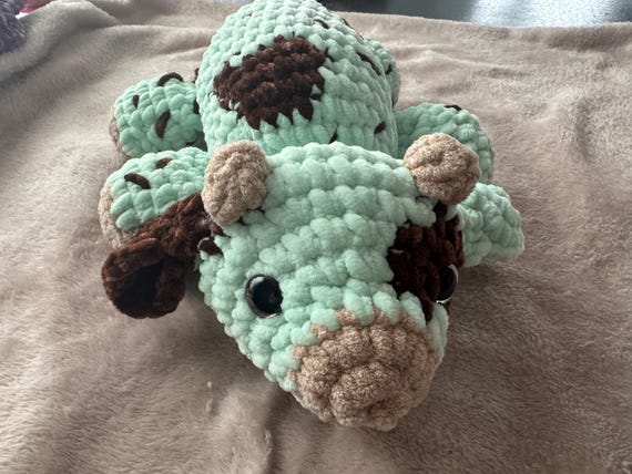 Mint Choc chip sleepy cow