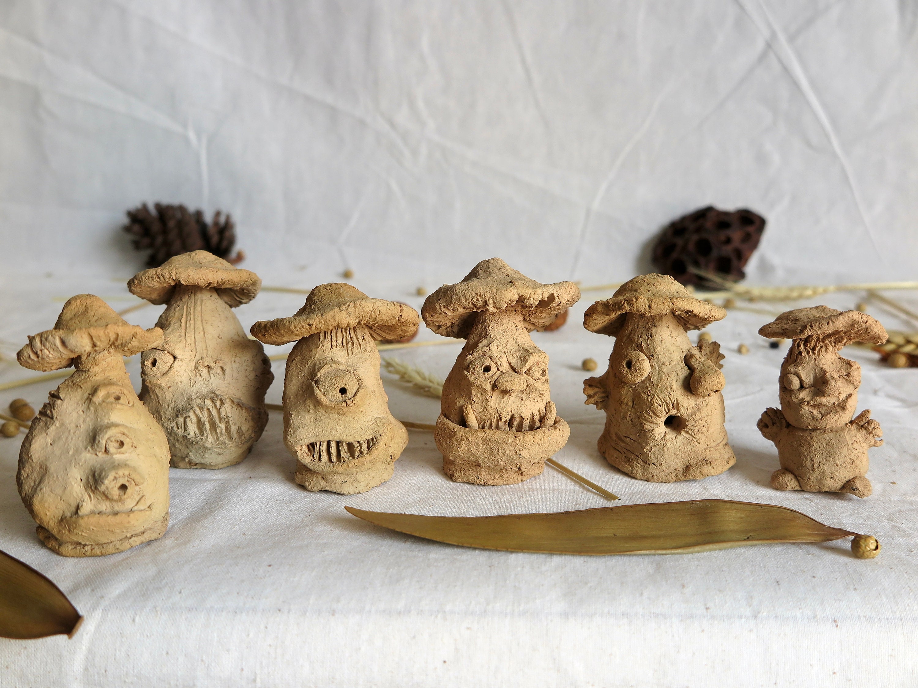 Ensemble De Champignons