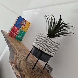 Live Edge Elm Shelf: Handmade Rustic Solid Wood Display