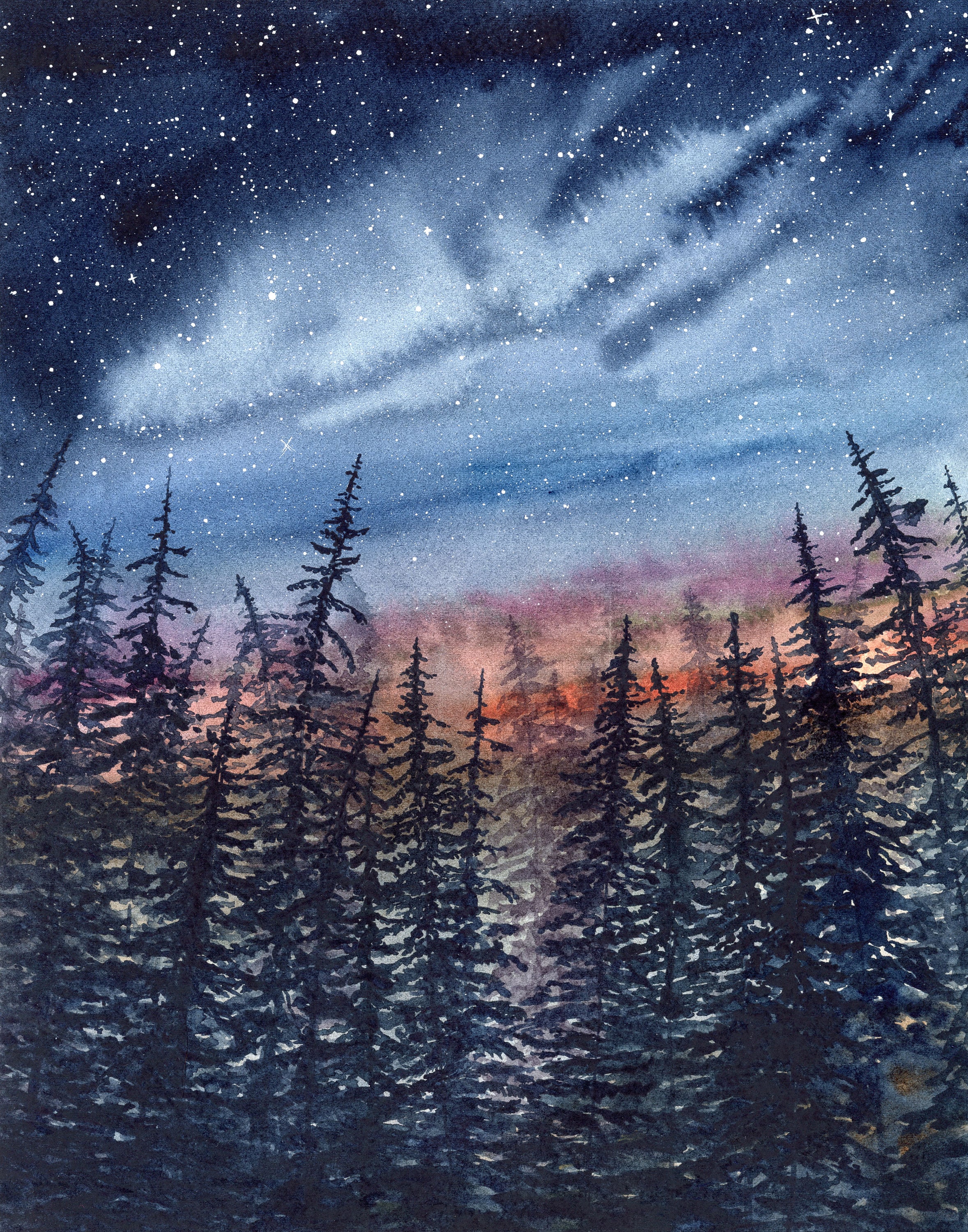 Starry Night Sky Pine Tree Watercolor Art Print, Evergreen Forest at ...