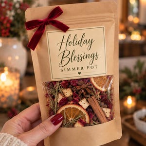 May include: A brown paper pouch containing dried ingredients for a simmer pot, including orange slices, cinnamon sticks, star anise, and cranberries. The label reads Holiday Blessings SIMMER POT, and the pouch is tied with a dark red velvet bow.