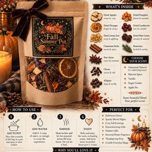 May include: A brown paper pouch labeled Fall Simmer Pot with a dark velvet bow, containing dried apples, oranges, cranberries, pine cones, cinnamon sticks, star anise, cloves, and allspice. The packaging includes instructions and ingredient lists.