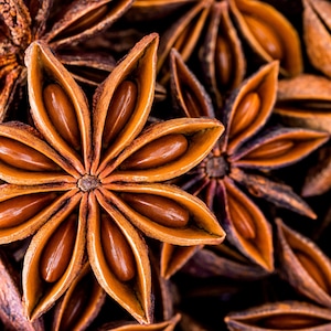 May include: Close-up of star anise pods, a brown spice with a star shape and a textured surface. The pods are arranged in a pile, showing the intricate details of the spice.