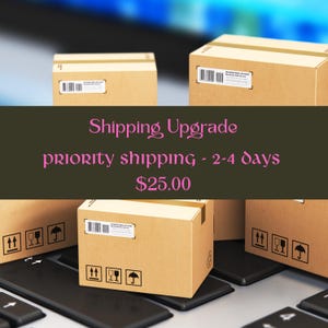 Shipping Upgrade - Upgraded Shipping - Priority Shipping Upgrade - Overnight Shipping Upgrade