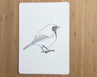 Oiseau de carte postale - rouge-gorge