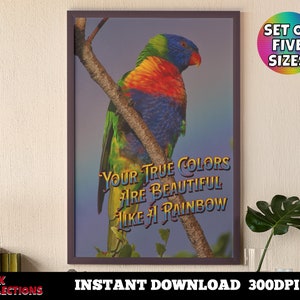 Printable Wall Art Uplifting Wall Art – True Colors Song Cyndi Lauper Tribute - Digital Download Print At Home Instant Download Wall Art