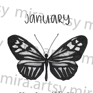 January Birth Month Butterfly Scan (Common Postman) - DIGITAL DOWNLOAD for Tattoo Design or Wallpaper