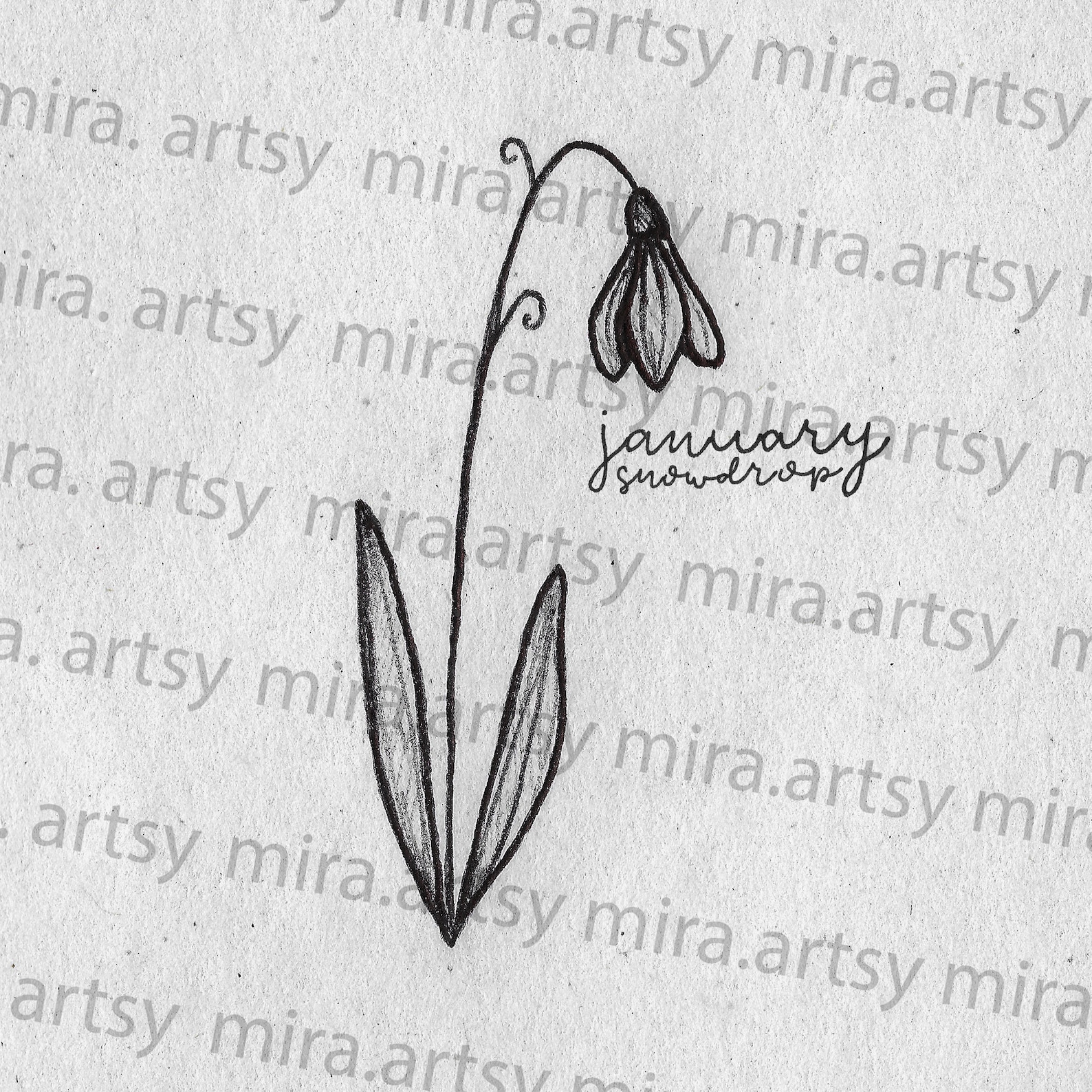 January Birth Month Flower Pack Scan carnation and Snowdrop DIGITAL