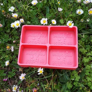Peut inclure: Moule en silicone rose avec quatre cavités rectangulaires. Chaque cavité a le texte "De Poppop" et "Les Bulles" en relief dans le moule.