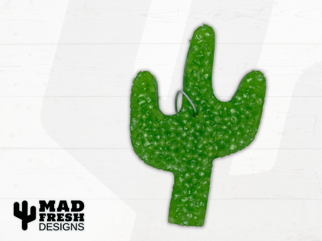 Cactus Car Freshie, Aroma Bead Car Air Freshener, Air Freshie, Car Air