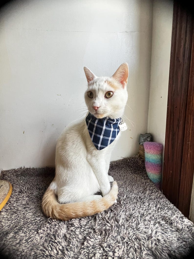 Cat Bandanna Sewing Pattern PDF, Slide-on Collar Bandana, Easy Beginner ...