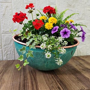 Peut inclure: Un pot de fleurs en forme de bol turquoise contenant un arrangement vivant de plantes. La composition comprend des géraniums rouges, des œillets d'Inde jaunes, des pétunias violets, des fleurs d'alysse blanches et du lierre panaché retombant.