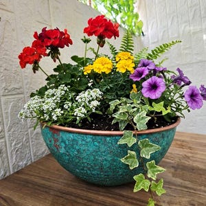 Könnte beinhalten: Eine runde, blaugrüne Schale mit Kupferrand enthält ein lebhaftes Blumenarrangement. Der Pflanzkübel ist mit roten Geranien, gelben Studentenblumen, kleinen weißen Steinkrautblüten, violetten Petunien und rankendem Efeu bepflanzt.
