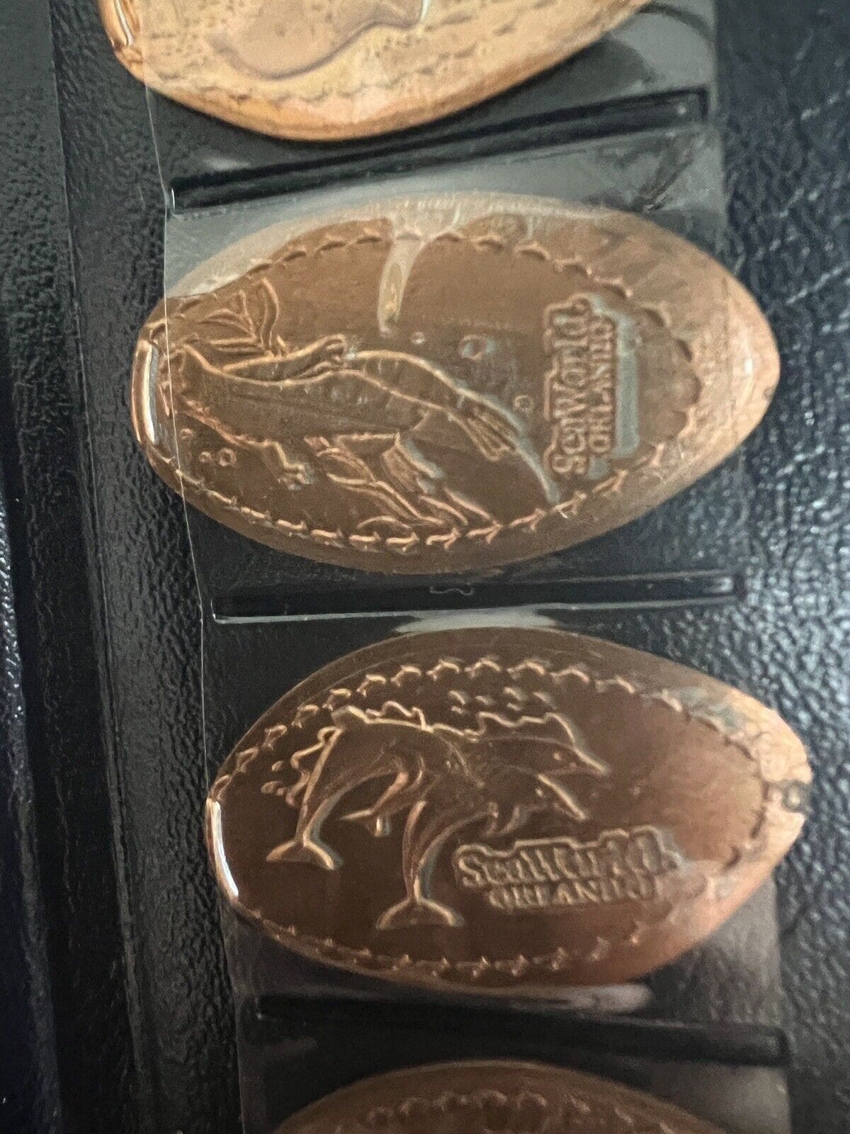 シーワールド記念コインアルバム 2009 初版、プレスされたペニー 30 枚付き、希少! - Etsy 日本