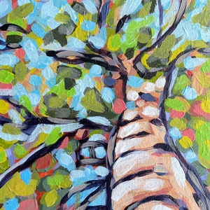 Light in the Tree