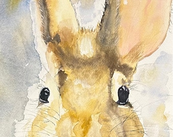 Bunny Greeting cards