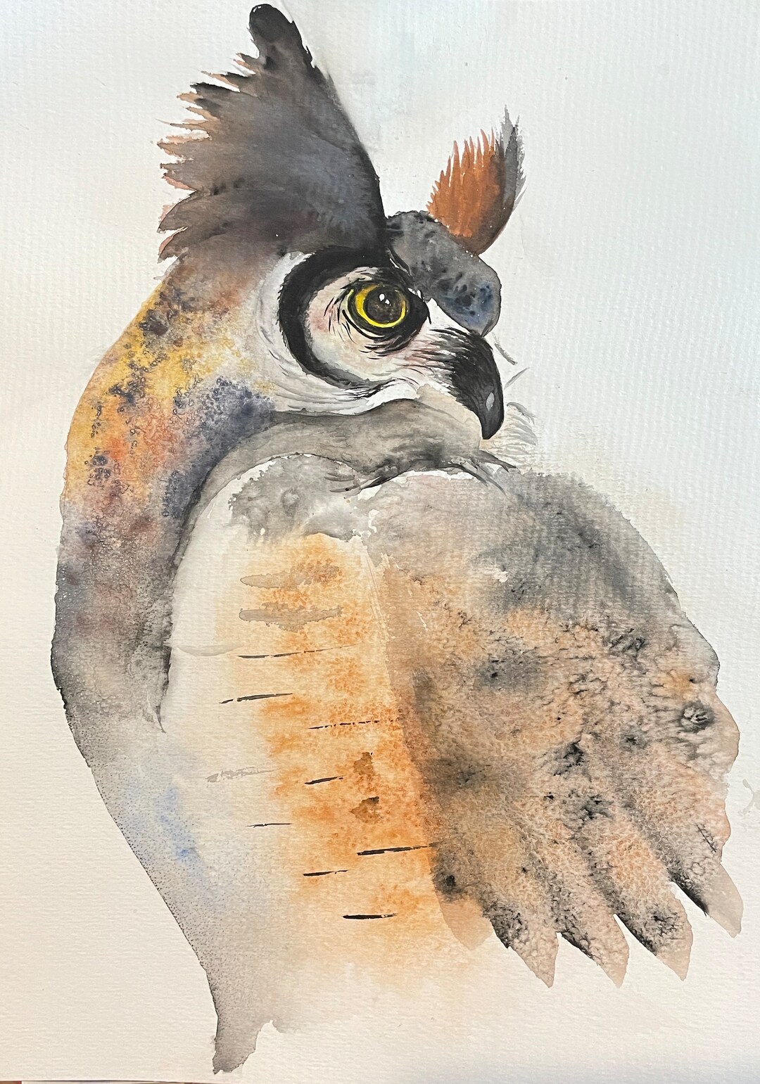 Great Horned Owl Print Etsy