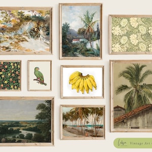 Tropical Vintage Gallery Set, Vintage Tropical Set of Prints, Vintage Palm Tree Print, Tropical Home Decor Prints, #G15
