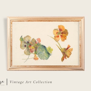 Impresión botánica antigua / Impresión vintage floral / Arte floral de la granja de campo / Descarga digital vintage / #4