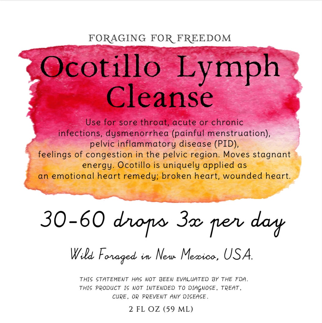 Ocotillo Lymph Cleanse Tincture 21 Etsy