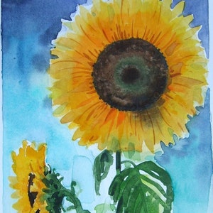 Girasoli