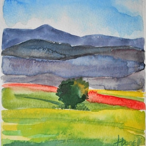 Campo di papaveri in Umbria