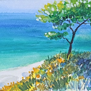 La spiaggetta bianca
