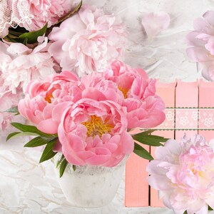 Shabby Chic Rose Prints, Pink Printables Peonies, Cottage Rose Books Wall Art Gift, Wedding Lace Decor, Dorm Decor, Farmhouse Peony Flower