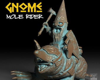 Gnome Mole Rider, Tabletop RPG Miniature