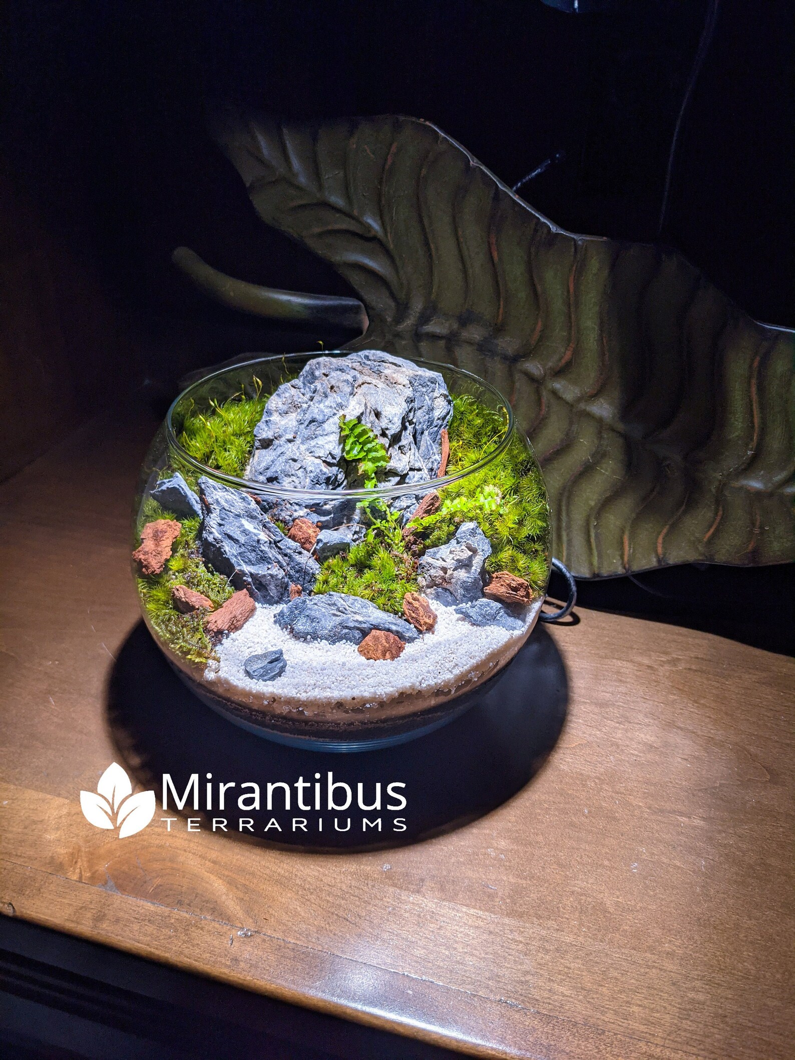 Natural Desktop Terrarium Bowl with LIVE Moss Seiryu Stone Etsy