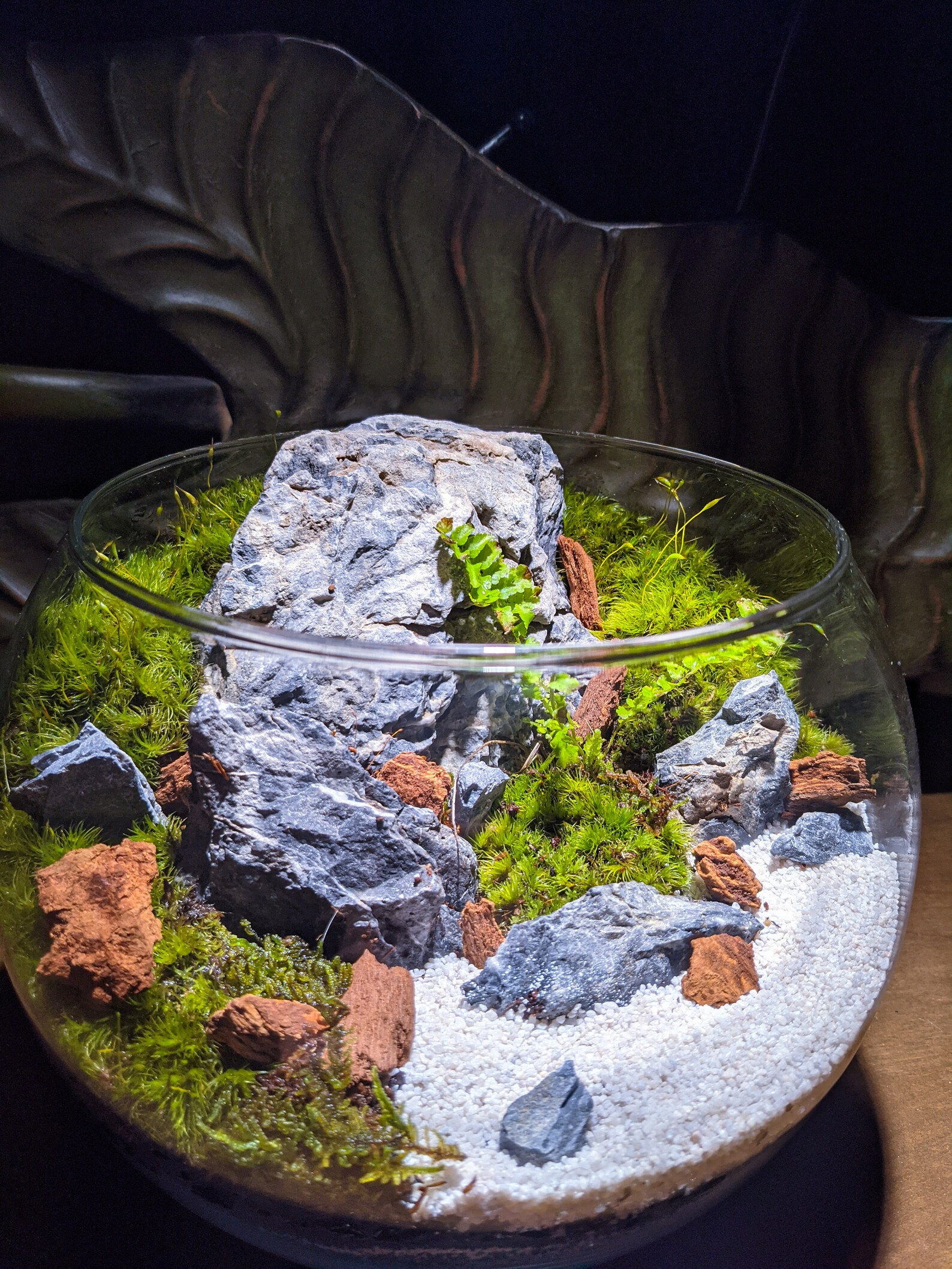 Natural Desktop Terrarium Bowl with LIVE Moss Seiryu Stone Etsy