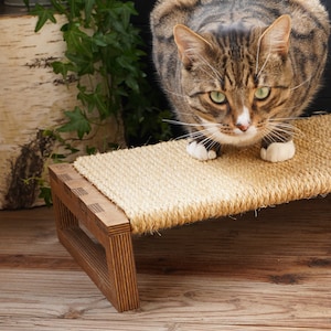Könnte beinhalten: Eine braune getigerte Katze mit grünen Augen steht auf einem Kratzbaum aus Holz, dessen Oberseite mit Sisal-Seil bedeckt ist. Der Kratzbaum steht auf einem Holzboden.