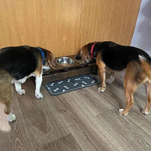 Elevated Triple Feeder for Dogs, Personalized Tilted Food Bar for Multiple Dogs Households, Raised Dog Feeding Station with 3 Bowls image 4