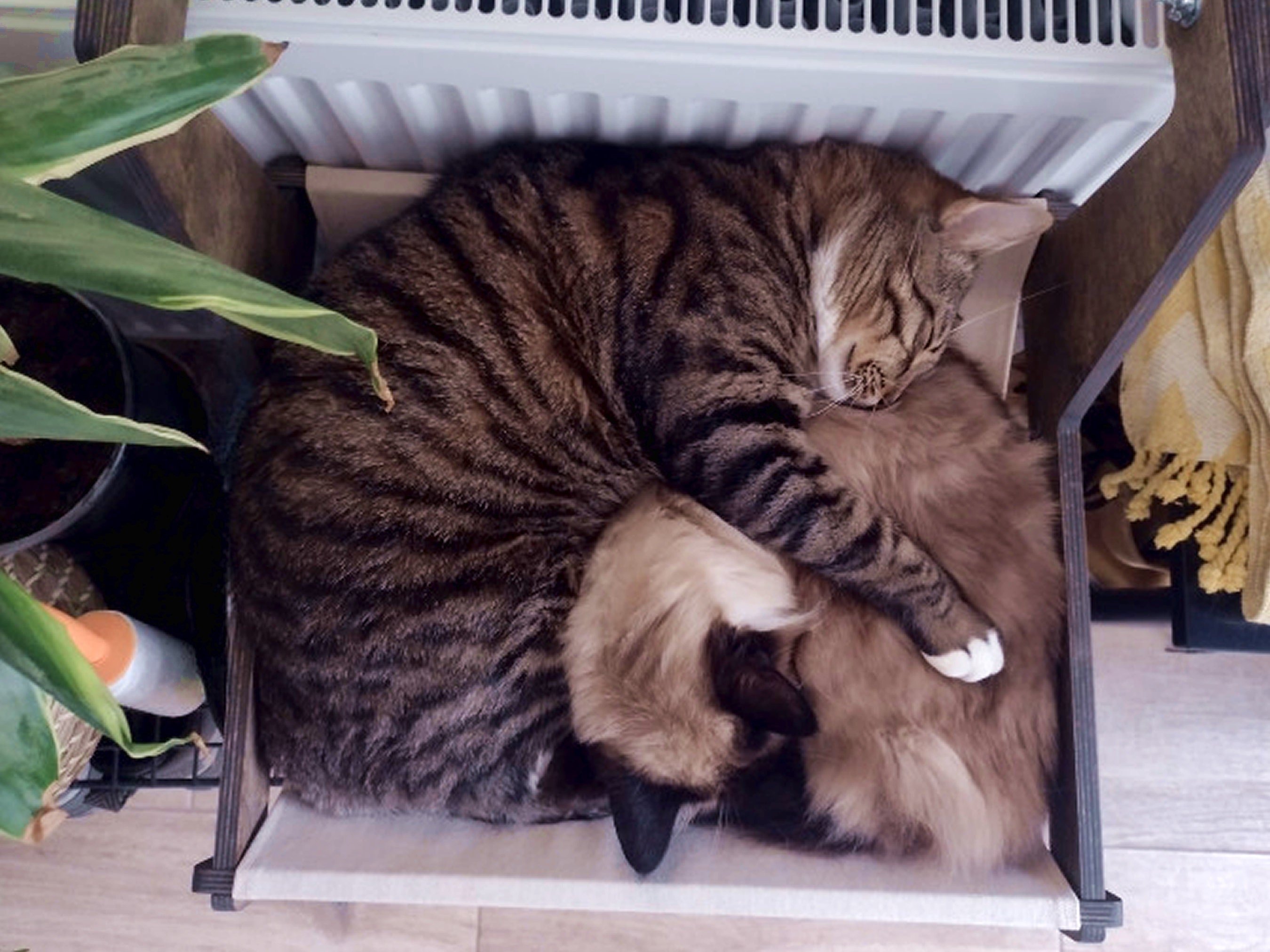 Radiator Cat Hammock Bed Made From Natural Materials Heater Etsy