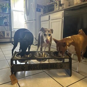 Elevated Triple Feeder for Dogs, Personalized Tilted Food Bar for Multiple Dogs Households, Raised Dog Feeding Station with 3 Bowls image 6