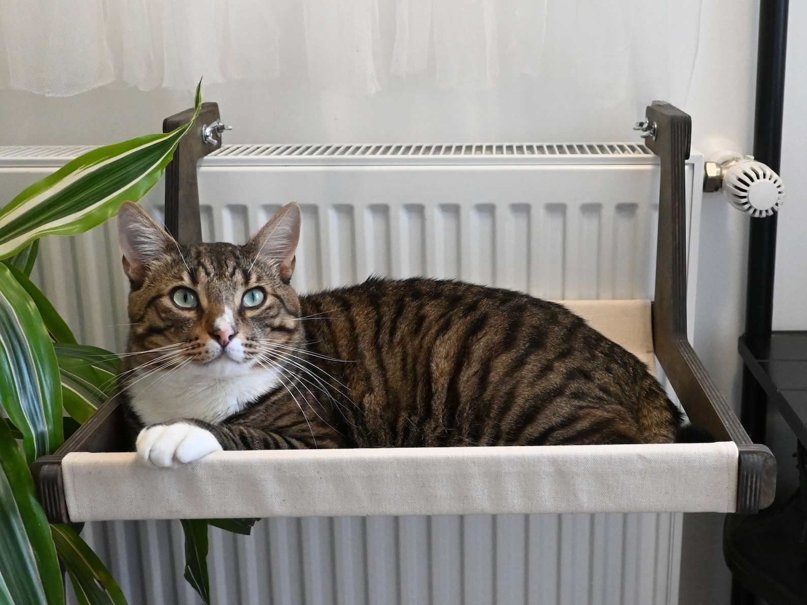 Radiator Cat Hammock Bed Made From Natural Materials Heater Etsy