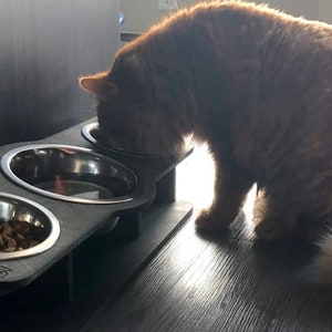 tilted triple stand with larger water bowl in the middle in use